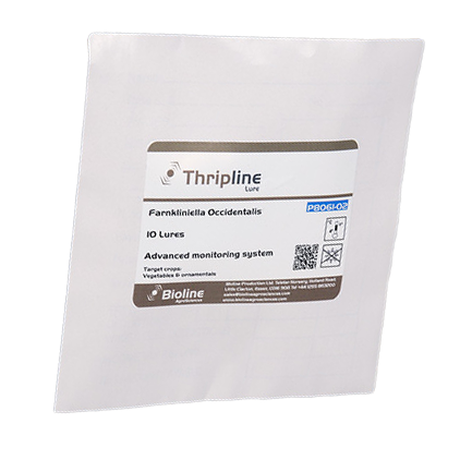 Thrip Lure and Taki Trap - 10 per pack - Biological Control